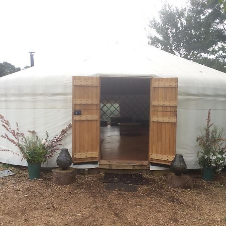 Silver Airstream Glamping & Rental Chichester Dış mekan fotoğraf