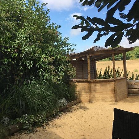 Silver Airstream Glamping & Rental Chichester Dış mekan fotoğraf