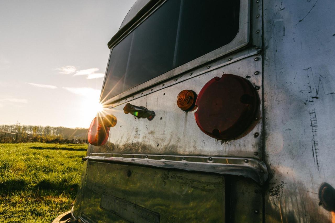 Silver Airstream Glamping & Rental Chichester Dış mekan fotoğraf