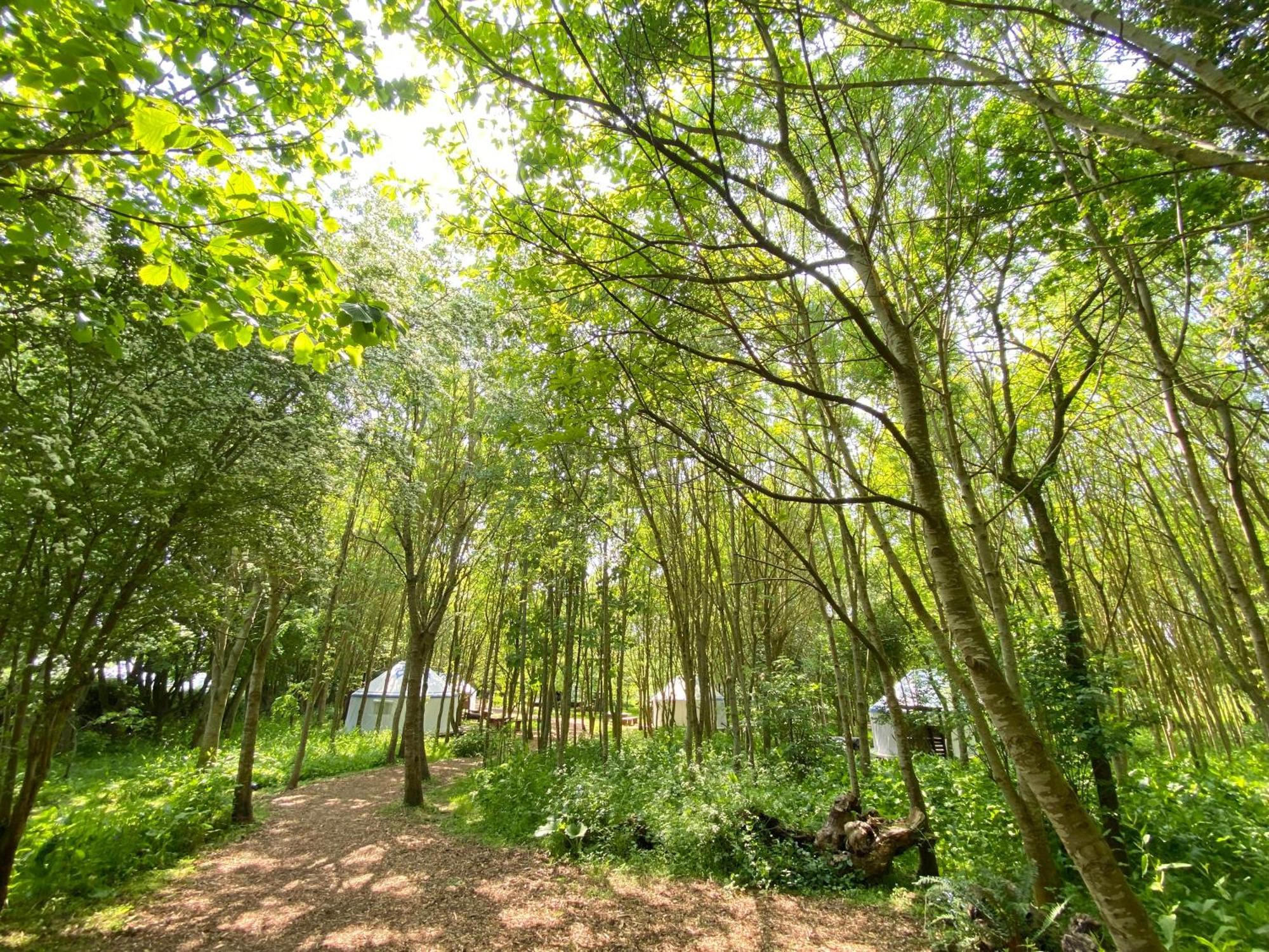 Silver Airstream Glamping & Rental Chichester Dış mekan fotoğraf